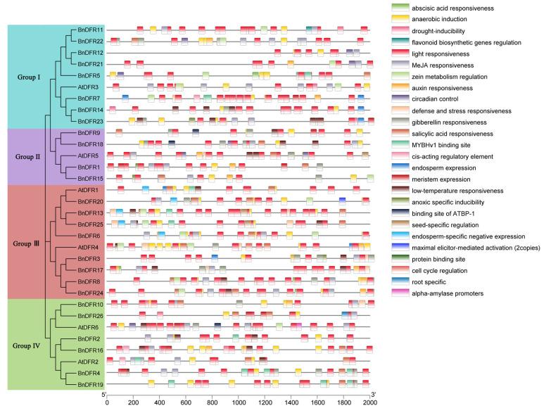 https://cdn.ncbi.nlm.nih.gov/pmc/blobs/8375/10346495/82c922ea1545/plants-12-02583-g007.jpg