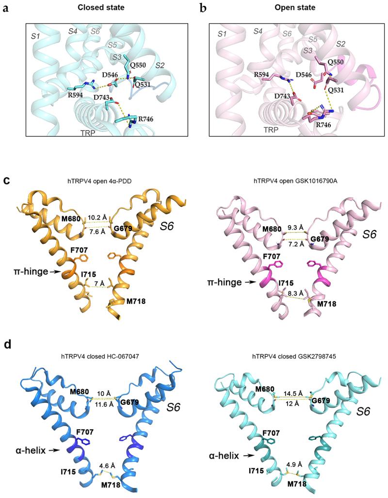 https://cdn.ncbi.nlm.nih.gov/pmc/blobs/8375/10868539/8cb5ebb1daca/KCHL_A_2313323_F0009_OC.jpg