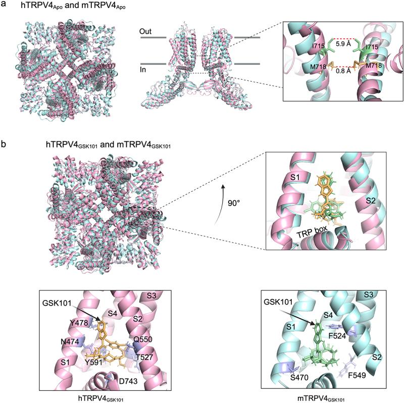 https://cdn.ncbi.nlm.nih.gov/pmc/blobs/8375/10868539/c6e47844e273/KCHL_A_2313323_F0008_OC.jpg