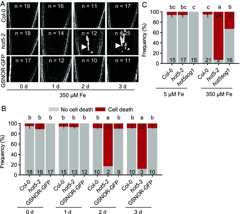 https://cdn.ncbi.nlm.nih.gov/pmc/blobs/8376/11725852/77eddc3494af/pnas.2411579122fig01.jpg
