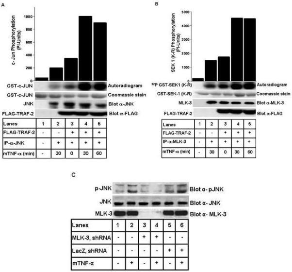 https://cdn.ncbi.nlm.nih.gov/pmc/blobs/8377/2801772/981cc15720d1/nihms-149286-f0006.jpg