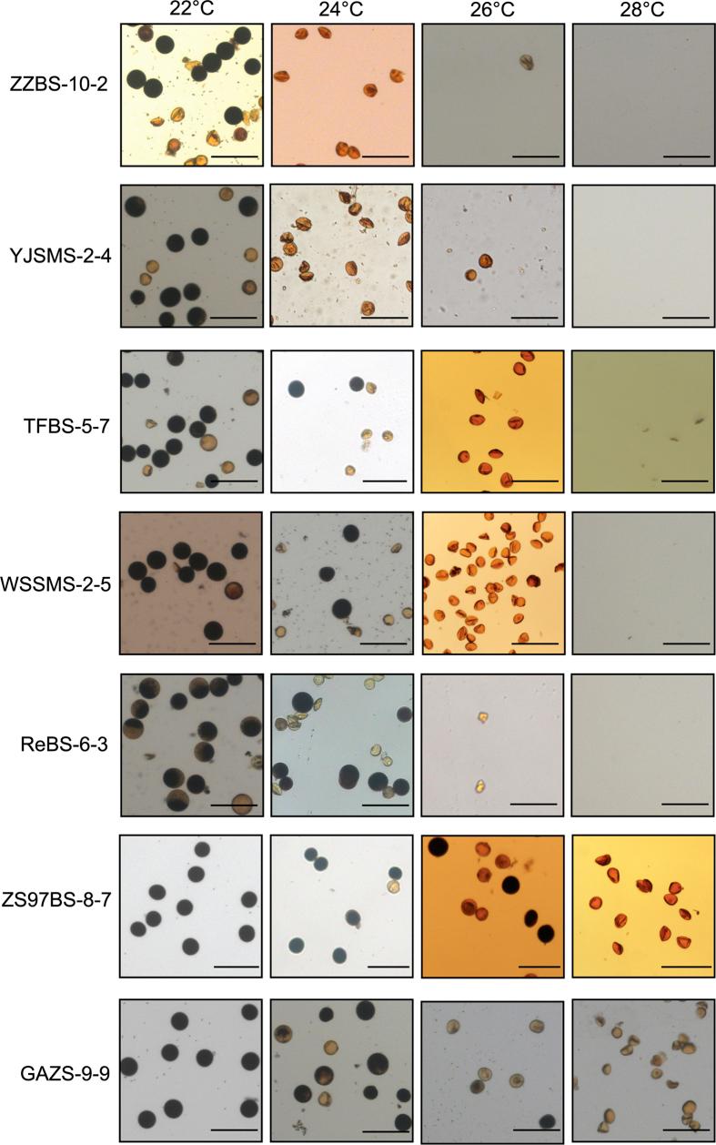 https://cdn.ncbi.nlm.nih.gov/pmc/blobs/8379/5118805/33fe00a48760/srep37395-f5.jpg