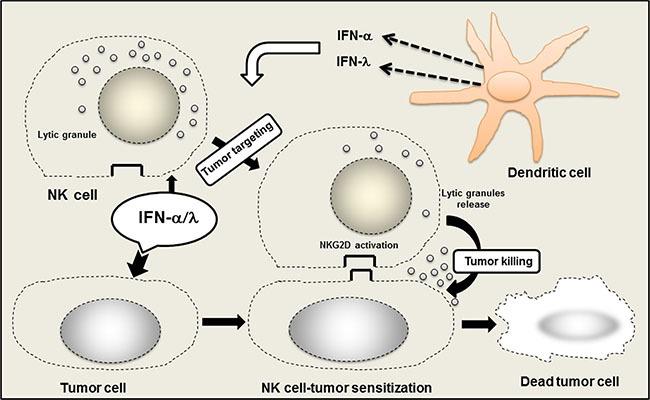 https://cdn.ncbi.nlm.nih.gov/pmc/blobs/8379/5226505/e347bc1fe718/oncotarget-07-49259-g004.jpg