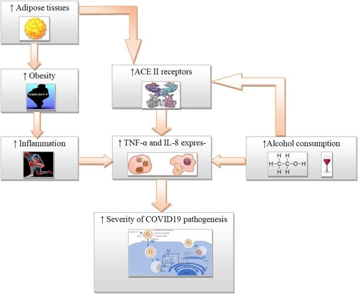 https://cdn.ncbi.nlm.nih.gov/pmc/blobs/8379/7492811/34aa6015aa2e/gr1_lrg.jpg