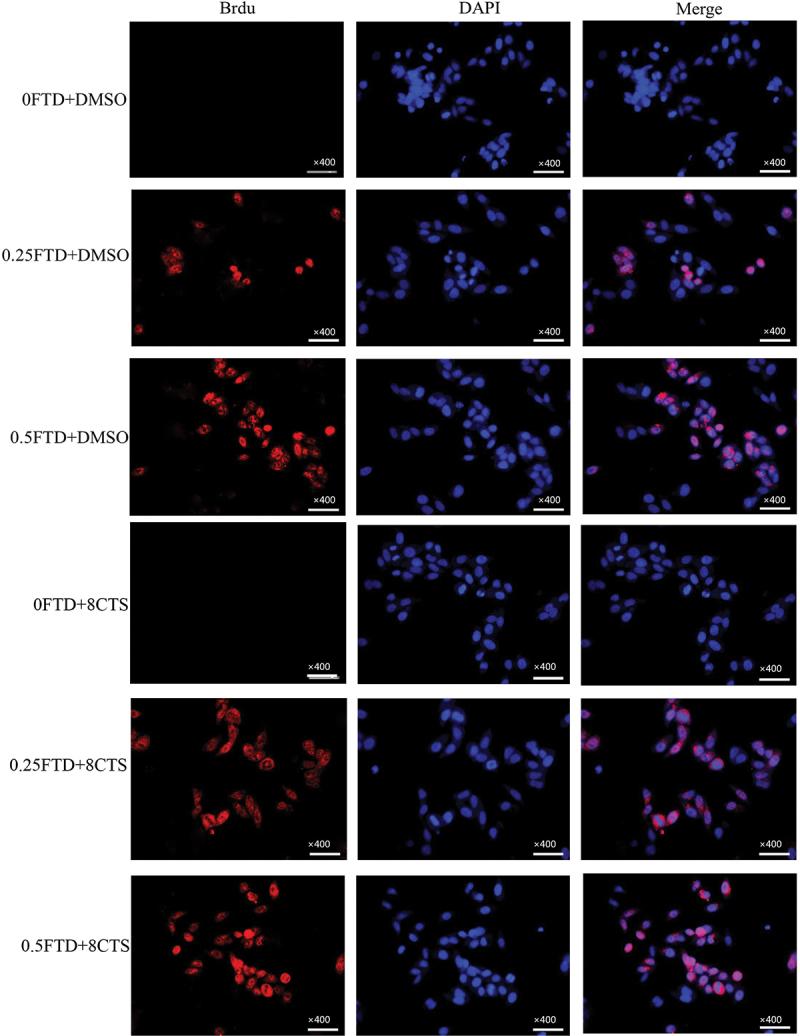 https://cdn.ncbi.nlm.nih.gov/pmc/blobs/837c/10281482/68e88ce5cfc6/KCCY_A_2215678_F0004_C.jpg