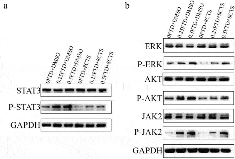 https://cdn.ncbi.nlm.nih.gov/pmc/blobs/837c/10281482/f814f6b3d51d/KCCY_A_2215678_F0005_B.jpg