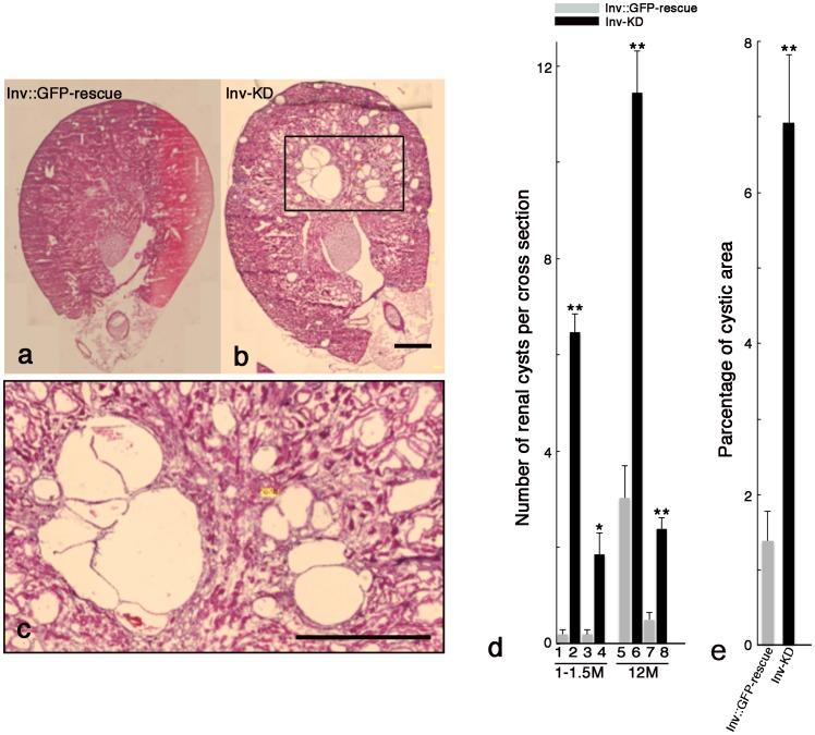 https://cdn.ncbi.nlm.nih.gov/pmc/blobs/837c/3933642/74a38aa2c0bf/pone.0089652.g003.jpg