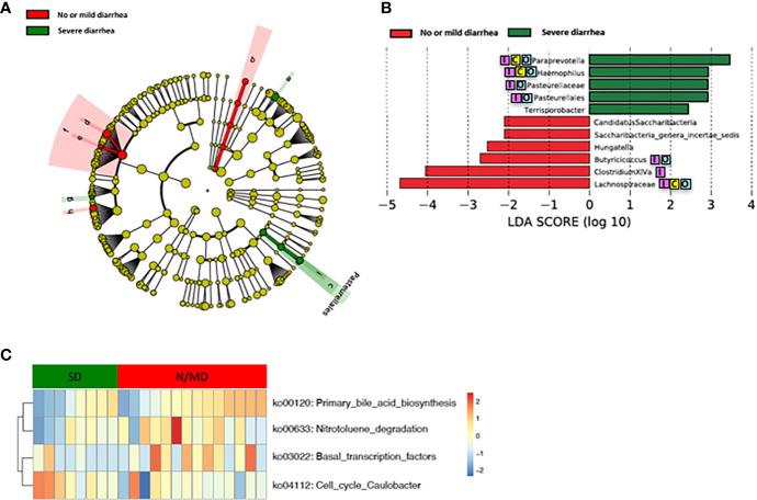 https://cdn.ncbi.nlm.nih.gov/pmc/blobs/837e/7756020/3202fdf32245/fcimb-10-562463-g004.jpg