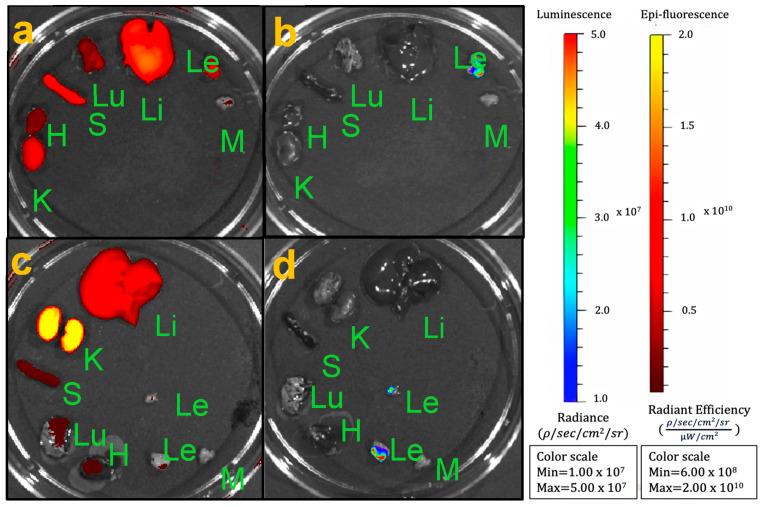 https://cdn.ncbi.nlm.nih.gov/pmc/blobs/837f/10856945/385dc64c6969/nanomaterials-14-00319-g002.jpg