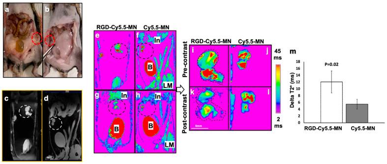 https://cdn.ncbi.nlm.nih.gov/pmc/blobs/837f/10856945/39144fc4bf7e/nanomaterials-14-00319-g001.jpg