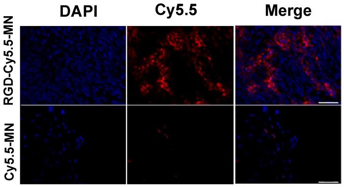 https://cdn.ncbi.nlm.nih.gov/pmc/blobs/837f/10856945/99f2d7a1e861/nanomaterials-14-00319-g005.jpg