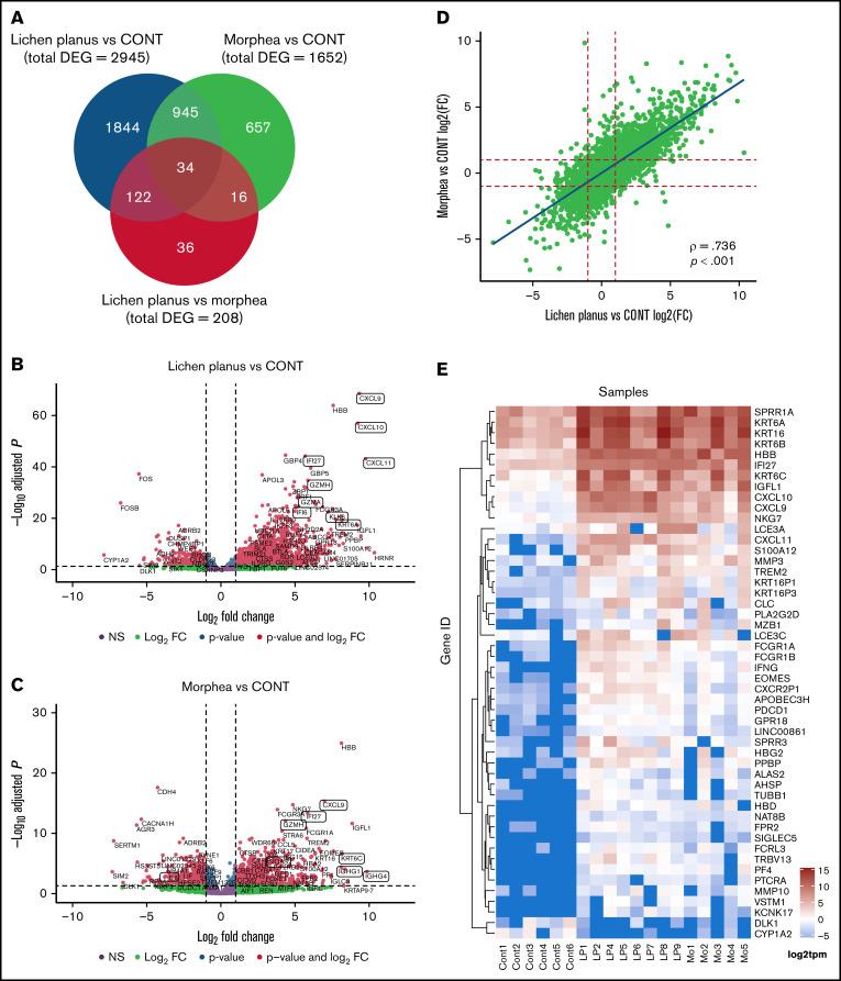 https://cdn.ncbi.nlm.nih.gov/pmc/blobs/837f/9092416/95c96d60419b/advancesADV2021004707f1.jpg