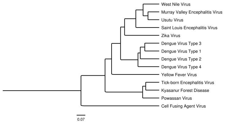 https://cdn.ncbi.nlm.nih.gov/pmc/blobs/8383/11769264/ecfbaf26e161/viruses-17-00001-g001.jpg