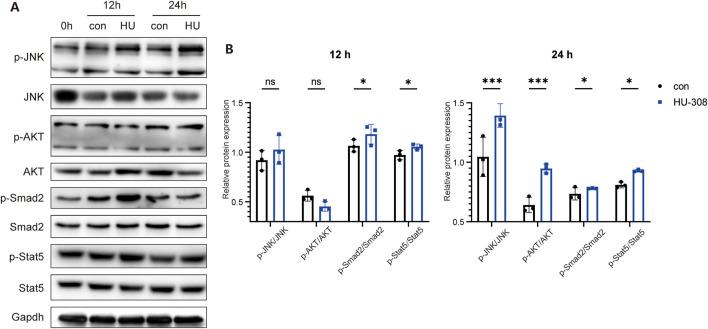 https://cdn.ncbi.nlm.nih.gov/pmc/blobs/8384/11825454/4c16f55e2e37/fphar-16-1532518-g005.jpg