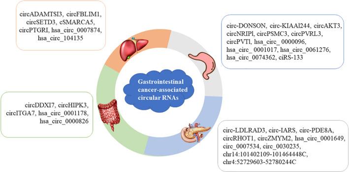 https://cdn.ncbi.nlm.nih.gov/pmc/blobs/8384/7370736/963ebc5a4e2a/JCLA-34-e23359-g001.jpg