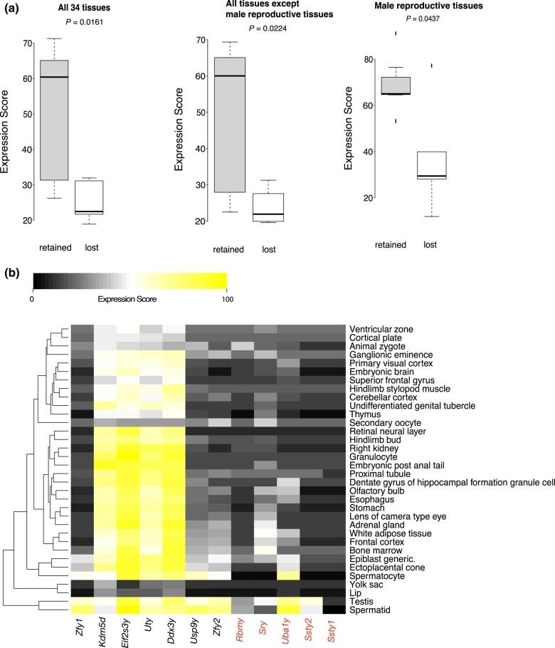 https://cdn.ncbi.nlm.nih.gov/pmc/blobs/8385/10959550/576180c206b2/evae046f1.jpg