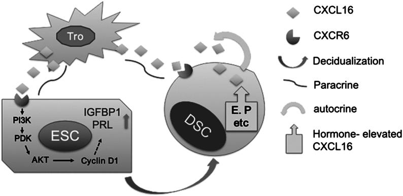 https://cdn.ncbi.nlm.nih.gov/pmc/blobs/8385/6365678/8b82cbad0734/REP-18-0417fig7.jpg