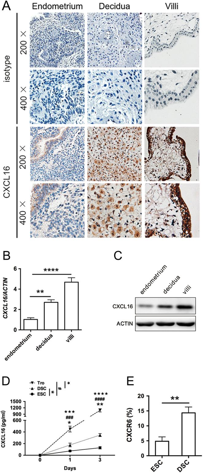 https://cdn.ncbi.nlm.nih.gov/pmc/blobs/8385/6365678/a2b22a8fc3a7/REP-18-0417fig1.jpg