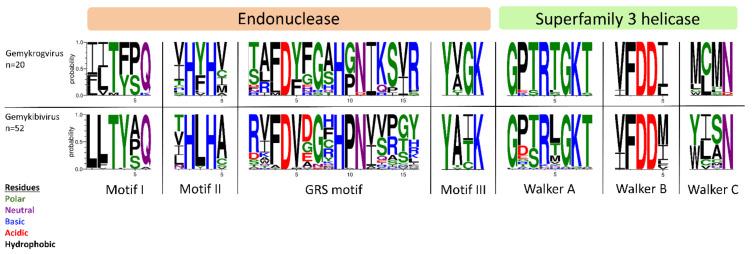 https://cdn.ncbi.nlm.nih.gov/pmc/blobs/8386/8621823/1beeb0f1372a/viruses-13-02176-g003.jpg