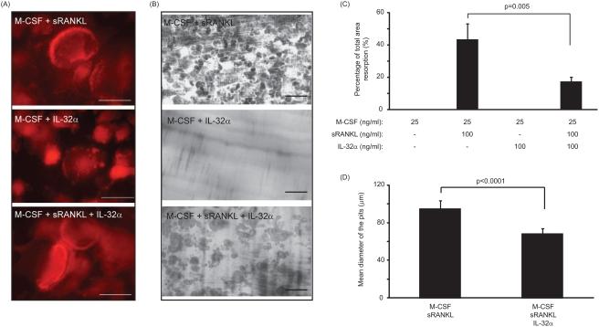 https://cdn.ncbi.nlm.nih.gov/pmc/blobs/8389/2613539/ef9bd9545f82/pone.0004173.g004.jpg