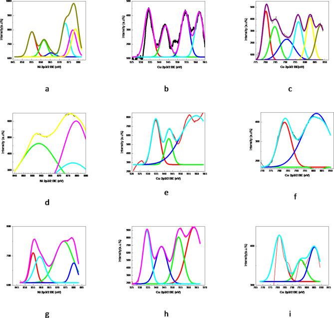 https://cdn.ncbi.nlm.nih.gov/pmc/blobs/838a/11499828/087467e0984a/41598_2024_76615_Fig6_HTML.jpg