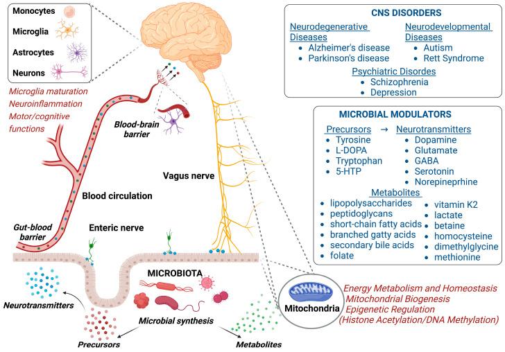 https://cdn.ncbi.nlm.nih.gov/pmc/blobs/838a/9855674/905c3d1d236b/biomolecules-13-00169-g002.jpg
