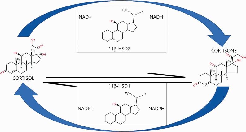 https://cdn.ncbi.nlm.nih.gov/pmc/blobs/838b/9154221/a751dbfedfb6/pyac014_fig1.jpg