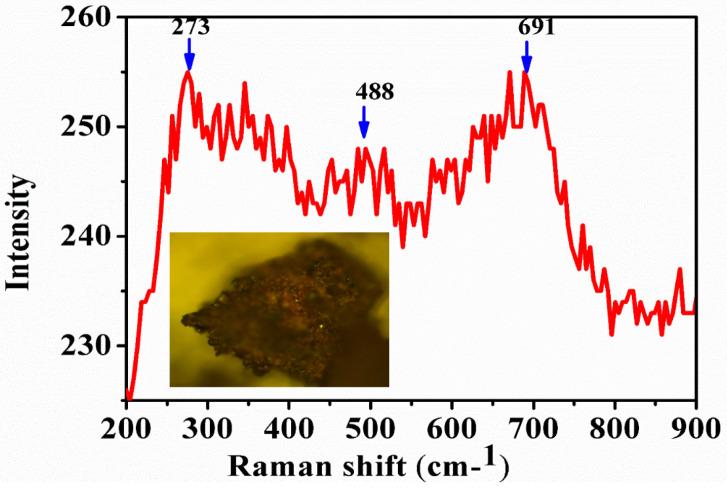https://cdn.ncbi.nlm.nih.gov/pmc/blobs/838d/7466584/ec75e4c6765c/nanomaterials-10-01551-g003.jpg