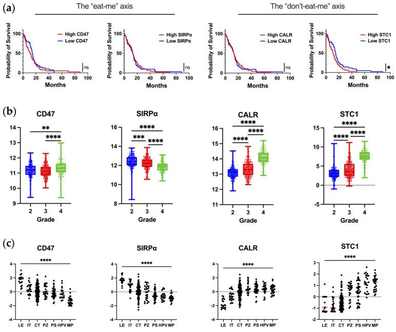 https://cdn.ncbi.nlm.nih.gov/pmc/blobs/838e/11119757/f3c6767c505b/cells-13-00823-g001.jpg