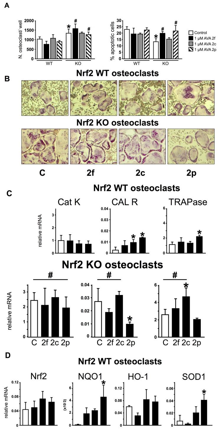 https://cdn.ncbi.nlm.nih.gov/pmc/blobs/838e/4963899/8413b1d74085/nutrients-08-00423-g004a.jpg