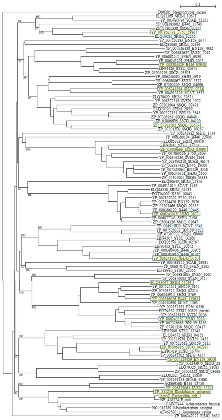 https://cdn.ncbi.nlm.nih.gov/pmc/blobs/838e/6273383/07b350cbb5ca/molecules-21-00605-g003.jpg