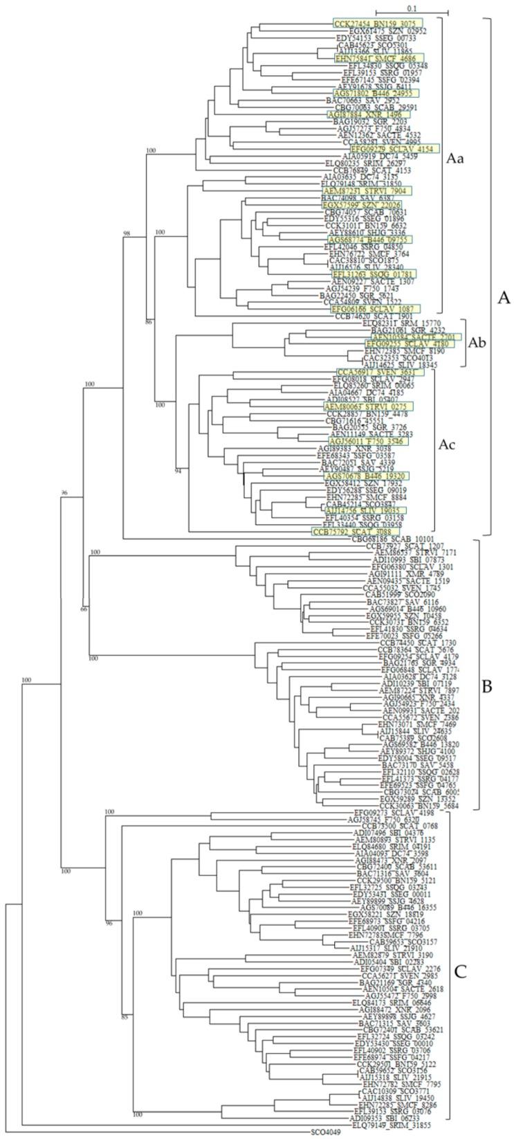 https://cdn.ncbi.nlm.nih.gov/pmc/blobs/838e/6273383/1bbe0dc1a17d/molecules-21-00605-g005.jpg