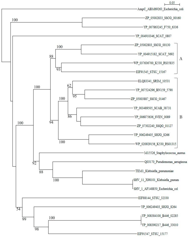 https://cdn.ncbi.nlm.nih.gov/pmc/blobs/838e/6273383/fc34837f9b67/molecules-21-00605-g001.jpg