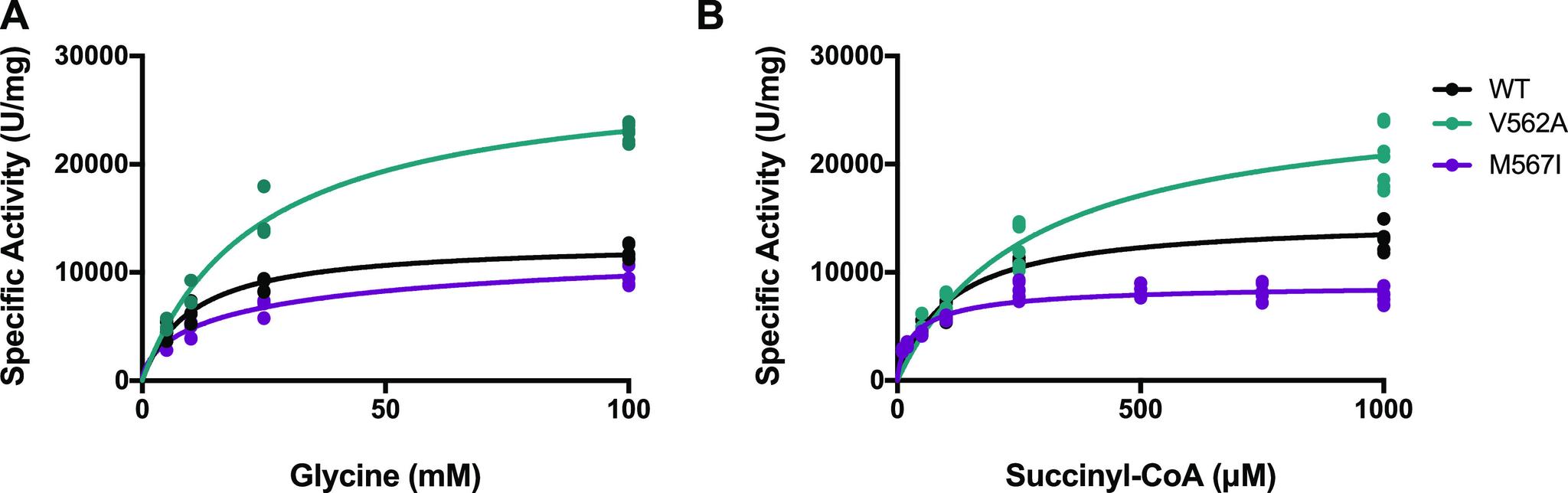 https://cdn.ncbi.nlm.nih.gov/pmc/blobs/838f/11223264/094b3cee227e/bi4c00066_0006.jpg