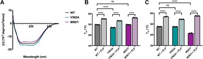 https://cdn.ncbi.nlm.nih.gov/pmc/blobs/838f/11223264/3b302781287e/bi4c00066_0002.jpg