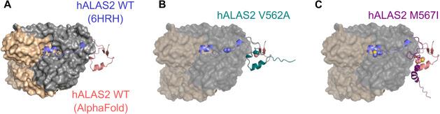 https://cdn.ncbi.nlm.nih.gov/pmc/blobs/838f/11223264/987d83792ce3/bi4c00066_0001.jpg