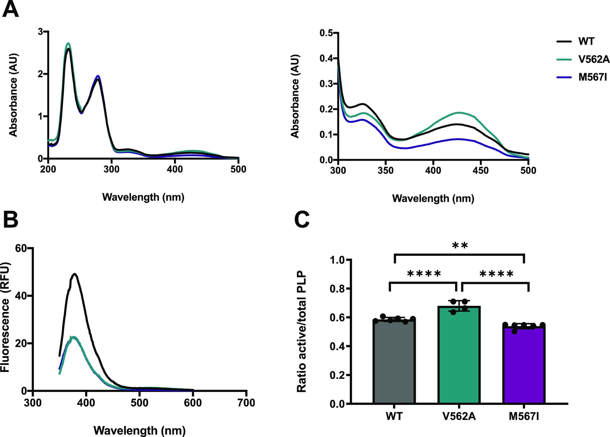 https://cdn.ncbi.nlm.nih.gov/pmc/blobs/838f/11223264/c106f018d781/bi4c00066_0003.jpg