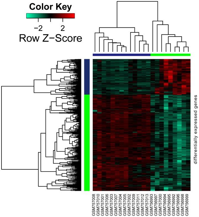 https://cdn.ncbi.nlm.nih.gov/pmc/blobs/8390/5779875/baae4cb7a3fb/MMR-16-06-7931-g00.jpg