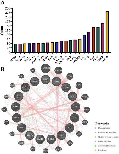 https://cdn.ncbi.nlm.nih.gov/pmc/blobs/8391/12050653/28e374507ae1/SRT-31-e70164-g004.jpg