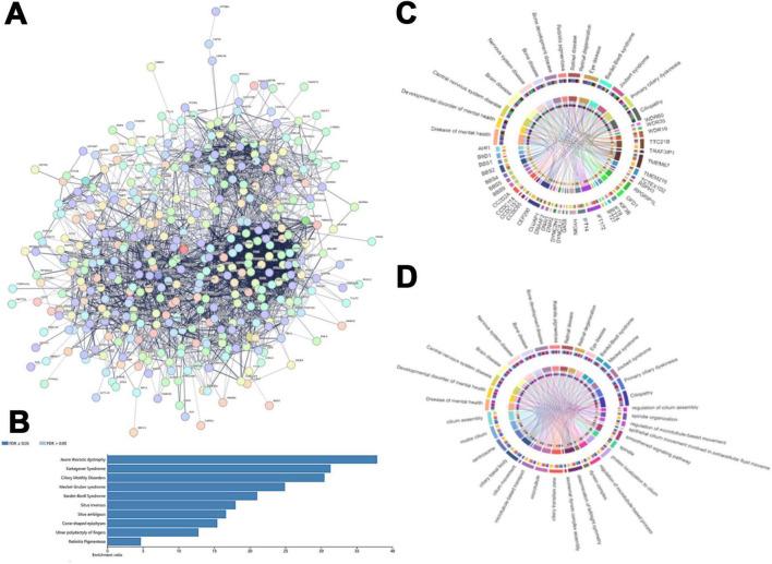 https://cdn.ncbi.nlm.nih.gov/pmc/blobs/8392/12106347/0243271ad58d/fmicb-16-1486189-g004.jpg
