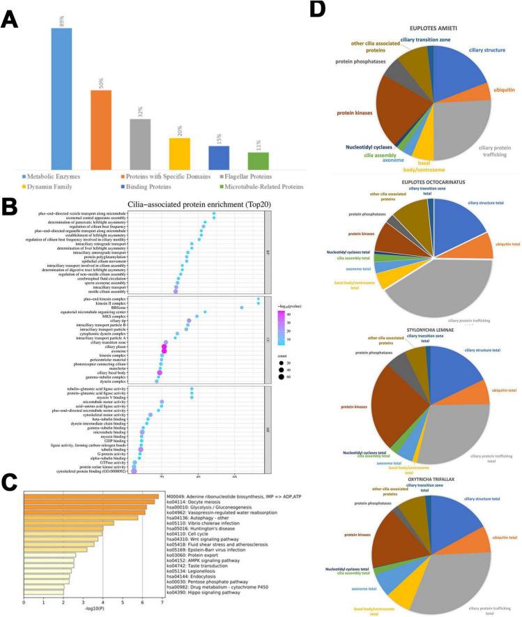 https://cdn.ncbi.nlm.nih.gov/pmc/blobs/8392/12106347/e93cec05fdea/fmicb-16-1486189-g002.jpg