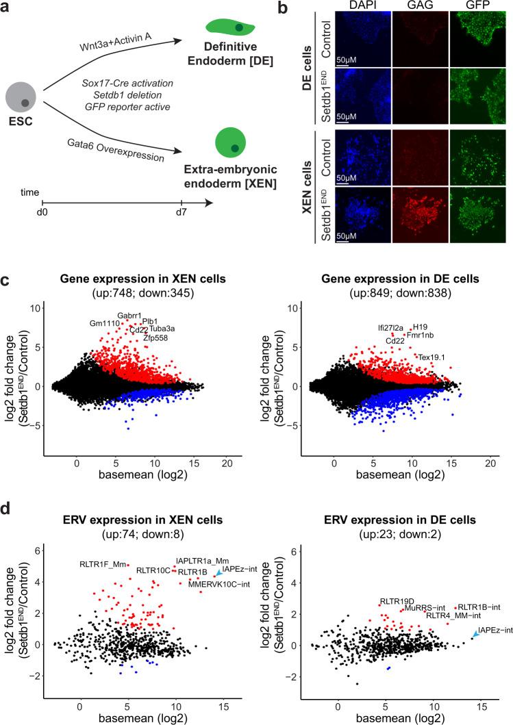 https://cdn.ncbi.nlm.nih.gov/pmc/blobs/8393/9485127/196b002fa751/41467_2022_32978_Fig3_HTML.jpg