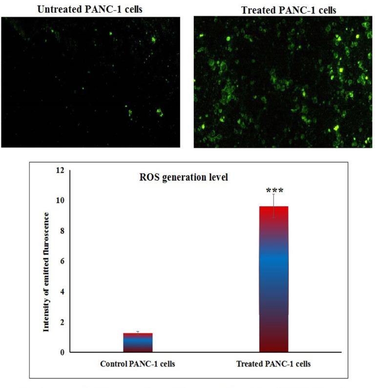 https://cdn.ncbi.nlm.nih.gov/pmc/blobs/8397/12181288/8791797d194f/41598_2025_5088_Fig3_HTML.jpg