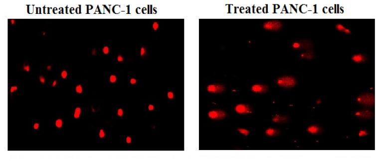 https://cdn.ncbi.nlm.nih.gov/pmc/blobs/8397/12181288/aadfc3c1d57d/41598_2025_5088_Fig4_HTML.jpg