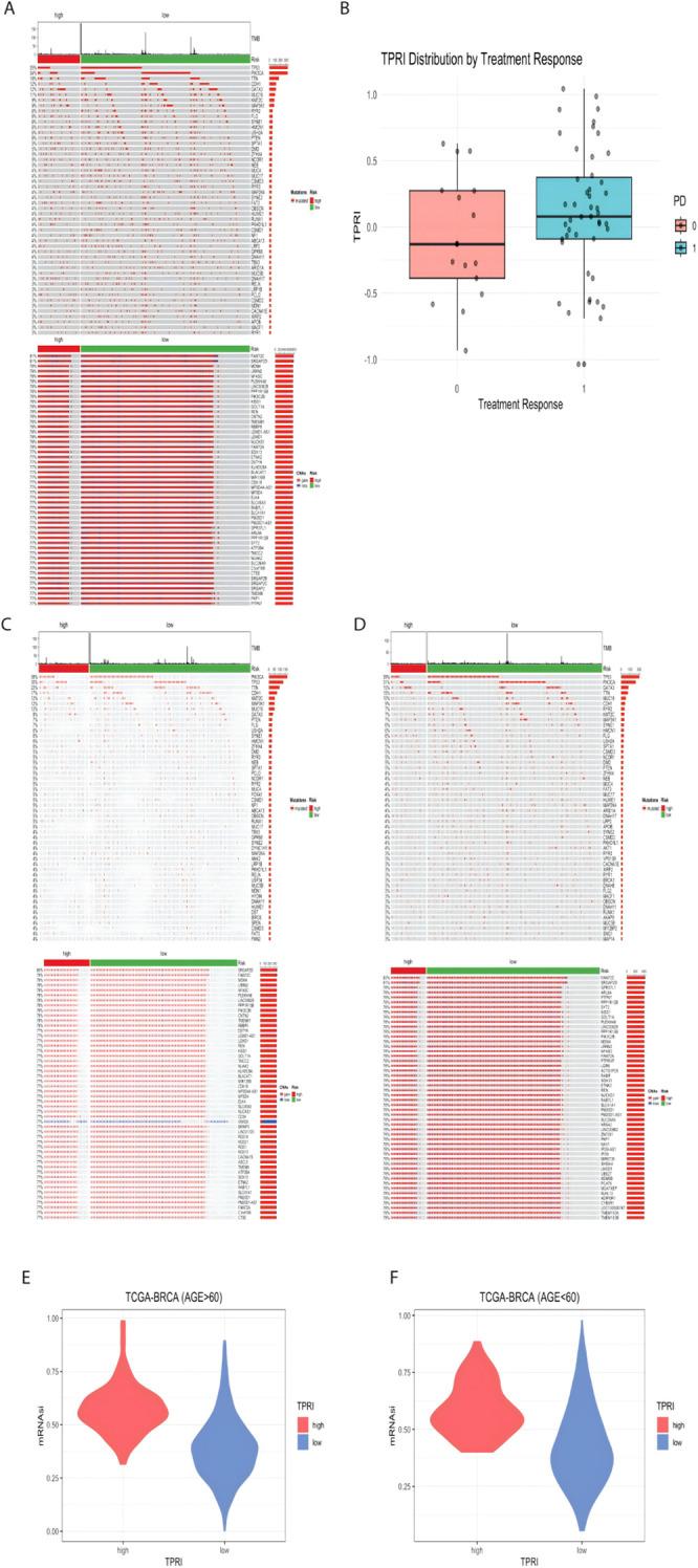 https://cdn.ncbi.nlm.nih.gov/pmc/blobs/8397/12310732/a702ad35e9db/fonc-15-1585574-g005.jpg
