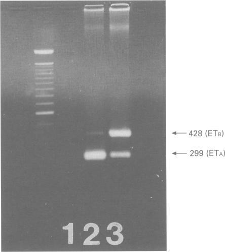https://cdn.ncbi.nlm.nih.gov/pmc/blobs/8398/1909054/4cf81314c599/brjpharm00178-0117-a.jpg