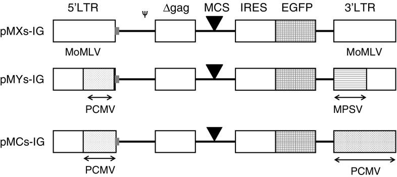 https://cdn.ncbi.nlm.nih.gov/pmc/blobs/8399/2668641/5d8f47a81ee5/12185_2008_82_Fig2_HTML.jpg