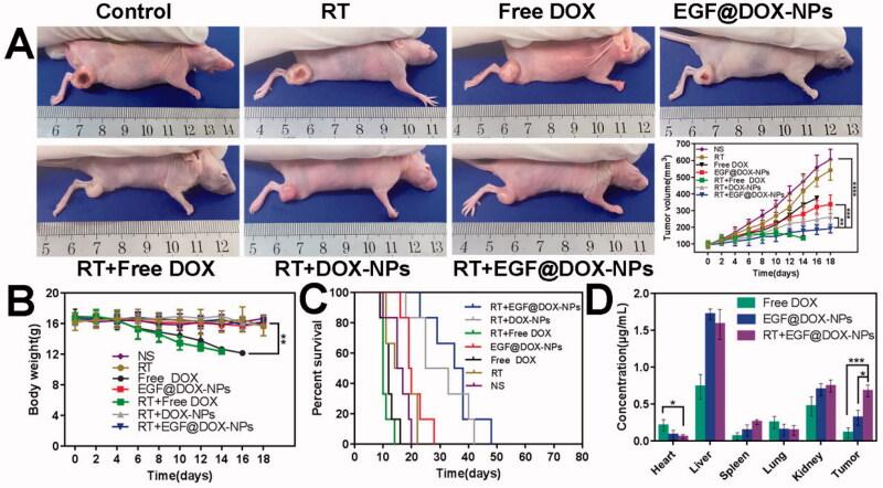 https://cdn.ncbi.nlm.nih.gov/pmc/blobs/839b/8856057/0e2b627c4665/IDRD_A_2036871_F0007_C.jpg