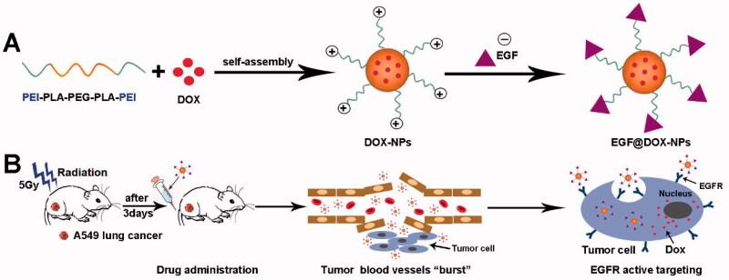 https://cdn.ncbi.nlm.nih.gov/pmc/blobs/839b/8856057/5be9515c1b6c/IDRD_A_2036871_SCH0001_C.jpg
