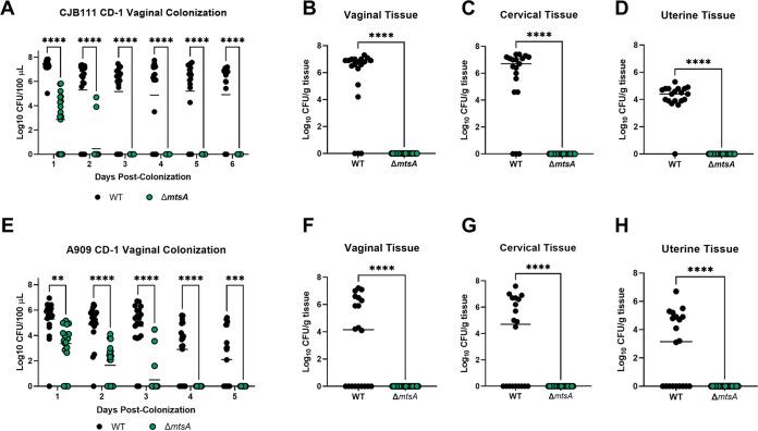 https://cdn.ncbi.nlm.nih.gov/pmc/blobs/839c/9239048/4e6352c03e17/mbio.00985-22-f004.jpg